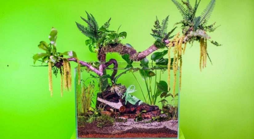 Las zapatillas de madera de Christophe Guine: cómo insuflar vida vegetal a las marcas antiguas Las zapatillas de madera de Christophe Guine: cómo insuflar vida vegetal a las marcas antiguas