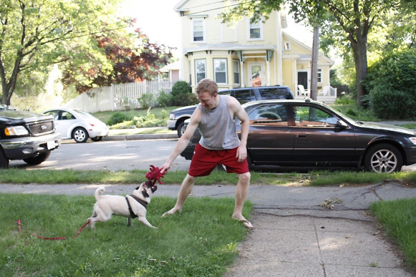 Life tips from Murphy the Dog Life tips from Murphy the Dog