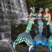 Like a fish in water: professional mermaids returned to aquariums after quarantine