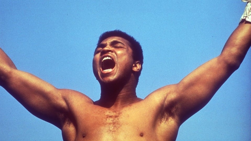 Los 10 mejores documentales de todos los tiempos, según la crítica