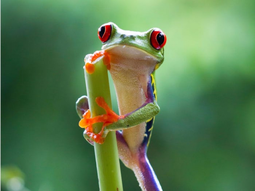 Los 13 mejores programas de televisión de la década, según los fanáticos