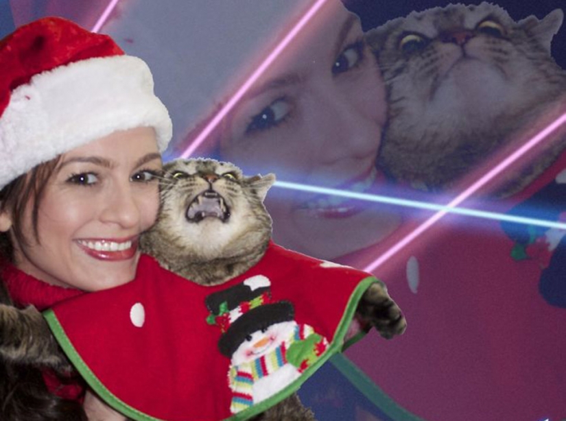 Los animales que odian la Navidad y año Nuevo