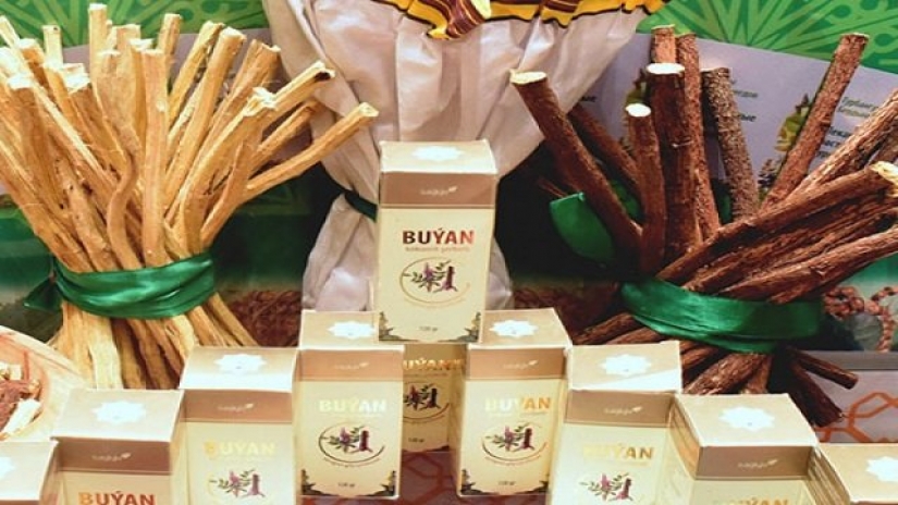 Los fideos en el saxaul en Turkmenistán están luchando con coronavirus con las raíces y la pasta Los fideos en el saxaul en Turkmenistán están luchando con coronavirus con las raíces y la pasta