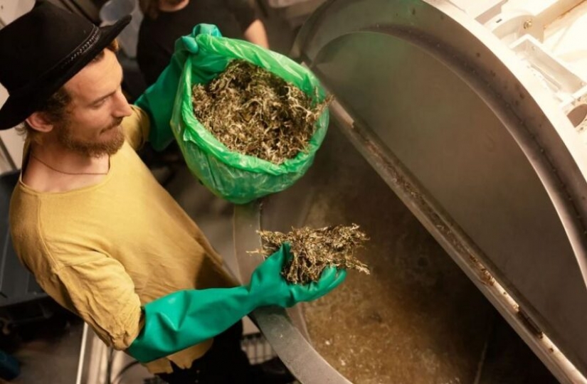 Los finlandeses presentaron cerveza hecha con excrementos de ganso