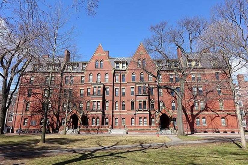 Los mayores pros y contras de vivir en Estados Unidos Los mayores pros y contras de vivir en Estados Unidos