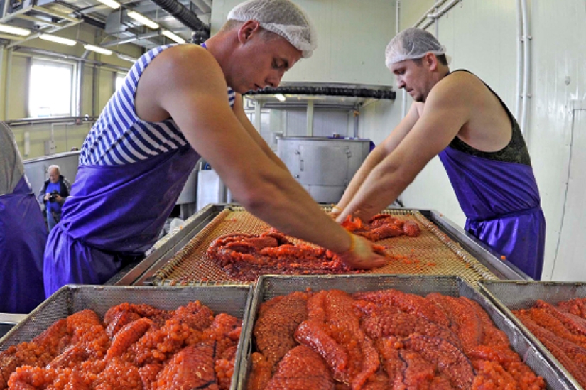 Los proveedores advirtieron que el caviar rojo subirá de precio en 20-60%