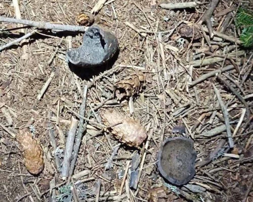 Los recién casados, que llegaron a los Cárpatos desde Gran Bretaña, fueron volados por un proyectil de la Primera Guerra Mundial Los recién casados, que llegaron a los Cárpatos desde Gran Bretaña, fueron volados por un proyectil de la Primera Guerra Mundial