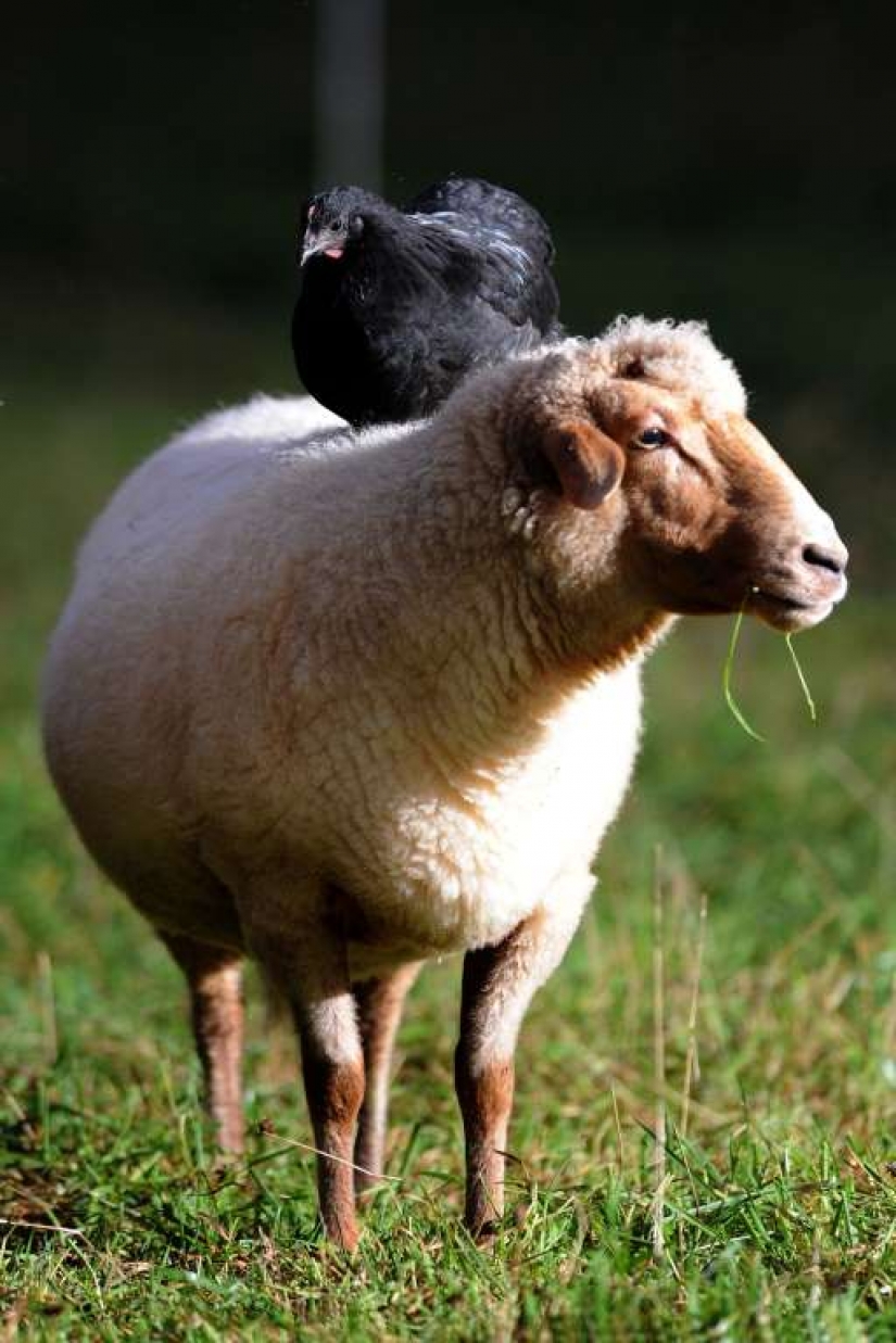 Lovers of free travel