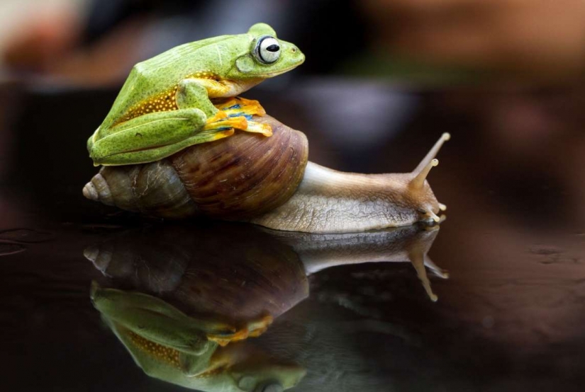 Lovers of free travel