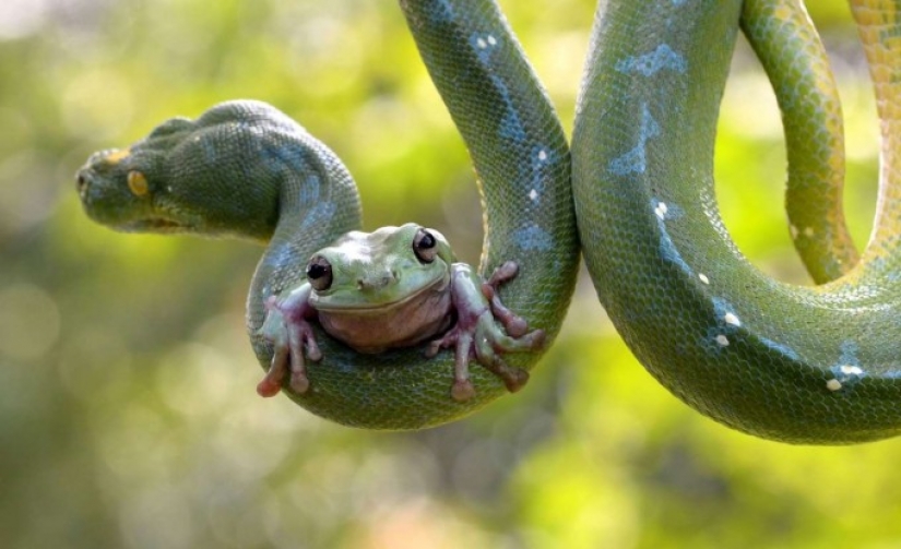 Lovers of free travel