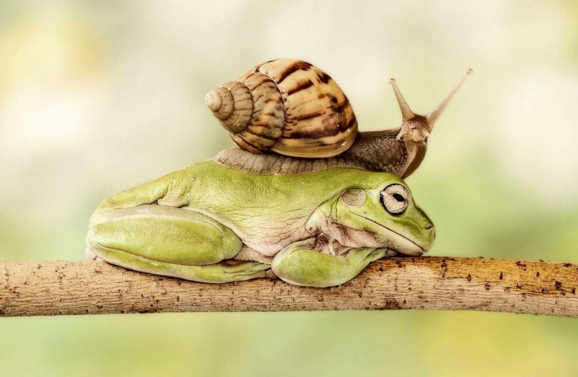 Lovers of free travel