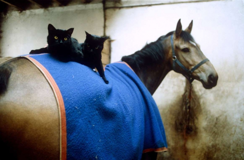 Lovers of free travel