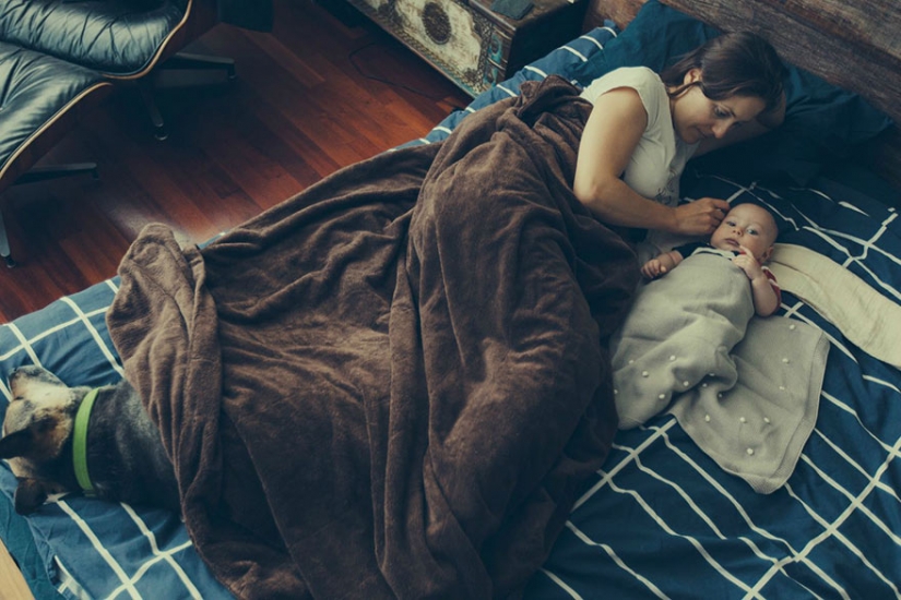 Loving husband hired 23 artist for an incredible gift to his wife