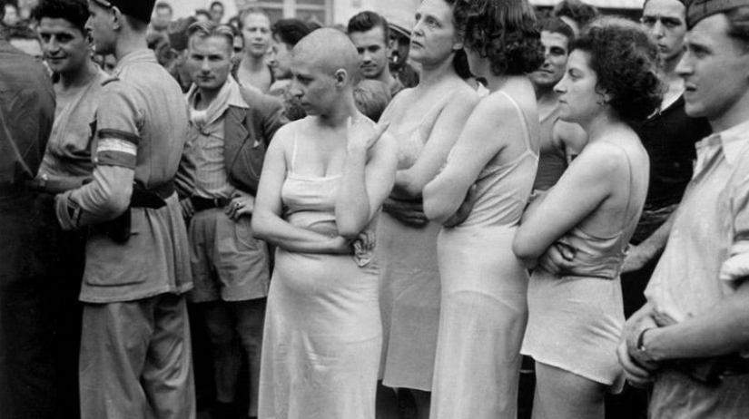 Lying of collaborationists