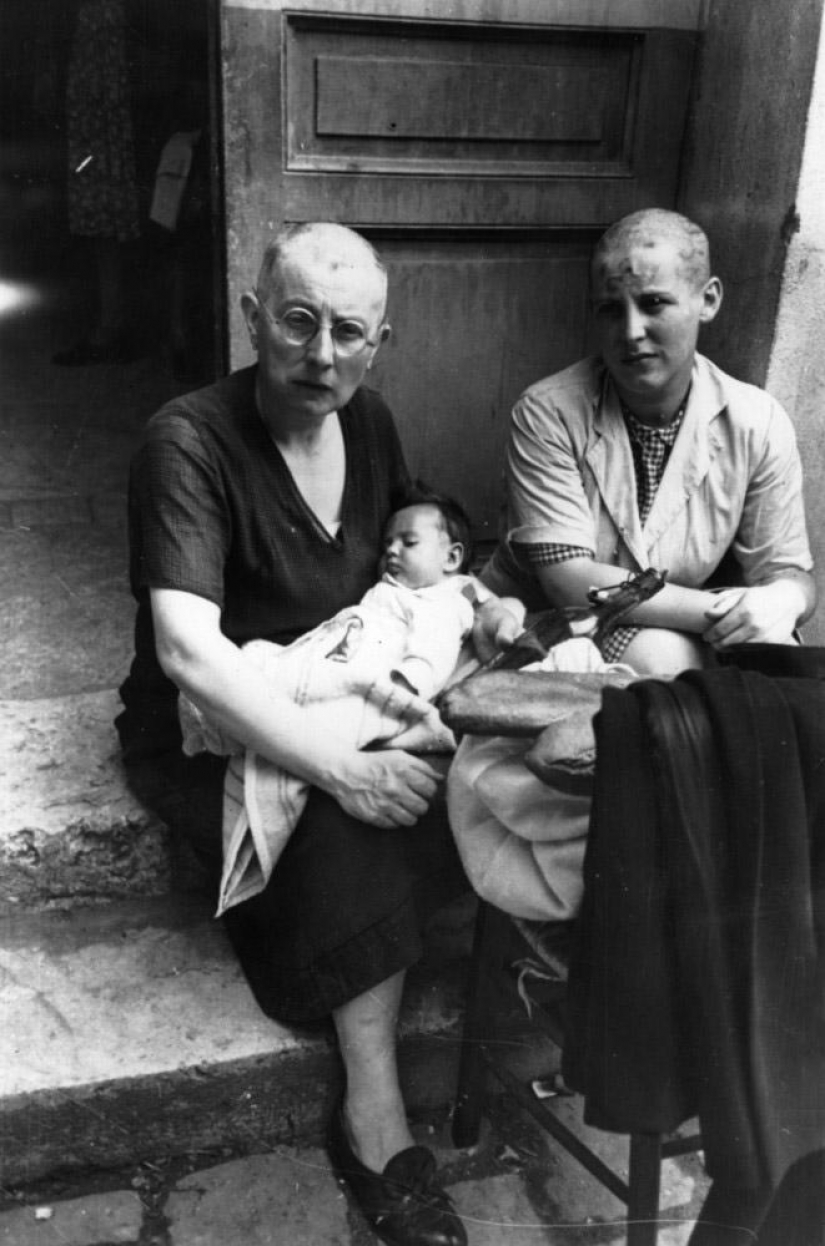 Lying of collaborationists