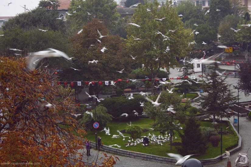 Magical Istanbul Magical Istanbul