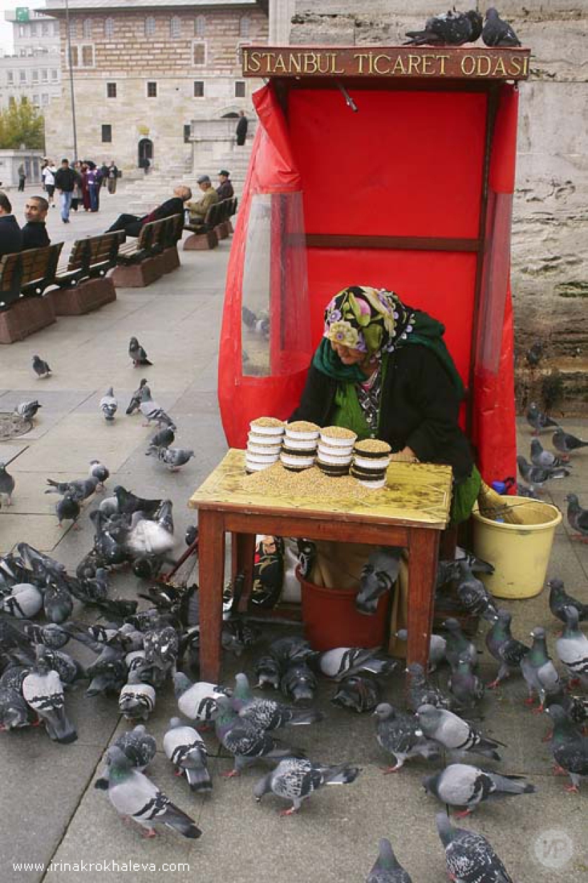 Magical Istanbul Magical Istanbul
