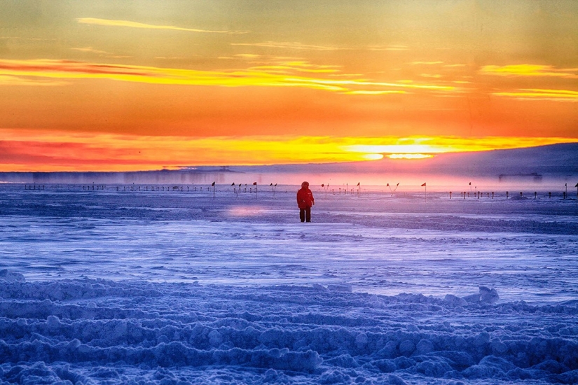 Magnificent Antarctica through the eyes of Devina Strauss