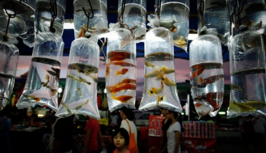 Malaysia in pictures