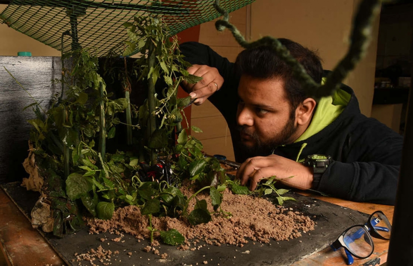 Master of Illusions: espectaculares paisajes fotografiados justo en el ... tabla Master of Illusions: espectaculares paisajes fotografiados justo en el ... tabla