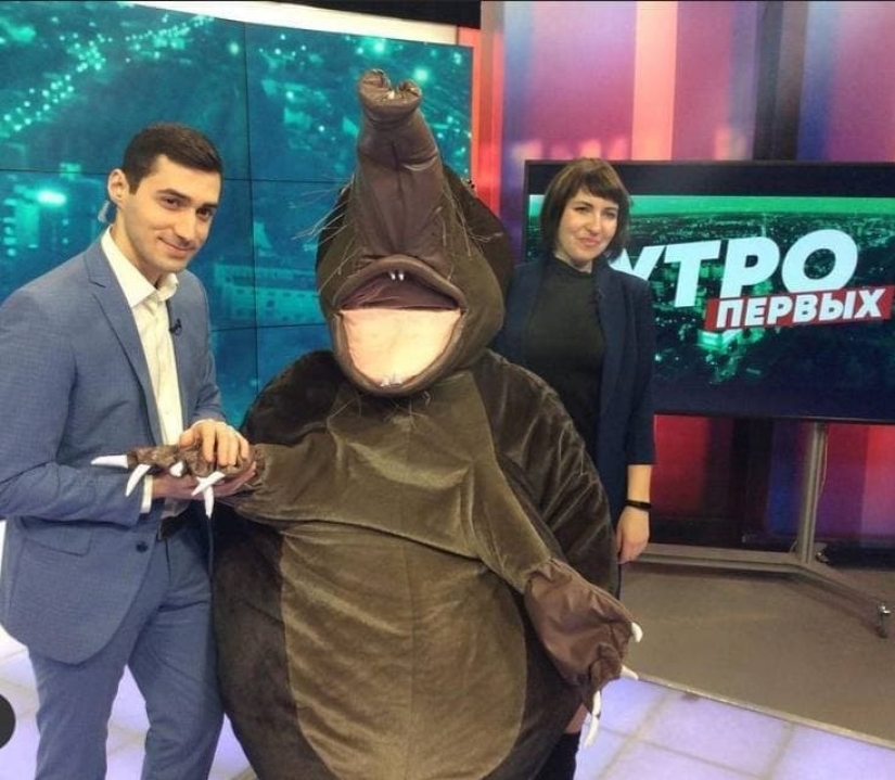 Meet the muskrat Khokhulya - mascot of the Kaluga Ministry of Nature Meet the muskrat Khokhulya - mascot of the Kaluga Ministry of Nature