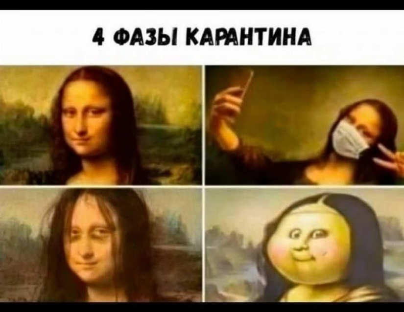 Memes help to fight the stress of the pandemic, make us calmer and happier Memes help to fight the stress of the pandemic, make us calmer and happier