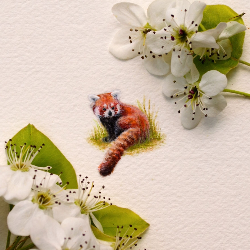 Miniature watercolors