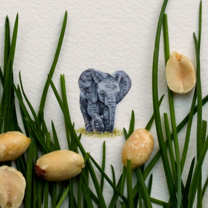 Miniature watercolors