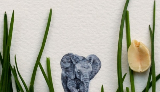 Miniature watercolors Miniature watercolors