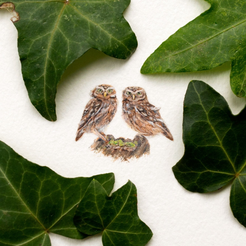 Miniature watercolors