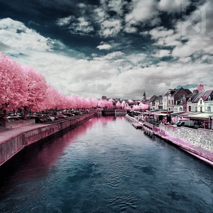 Mundo de hadas en luz infrarroja