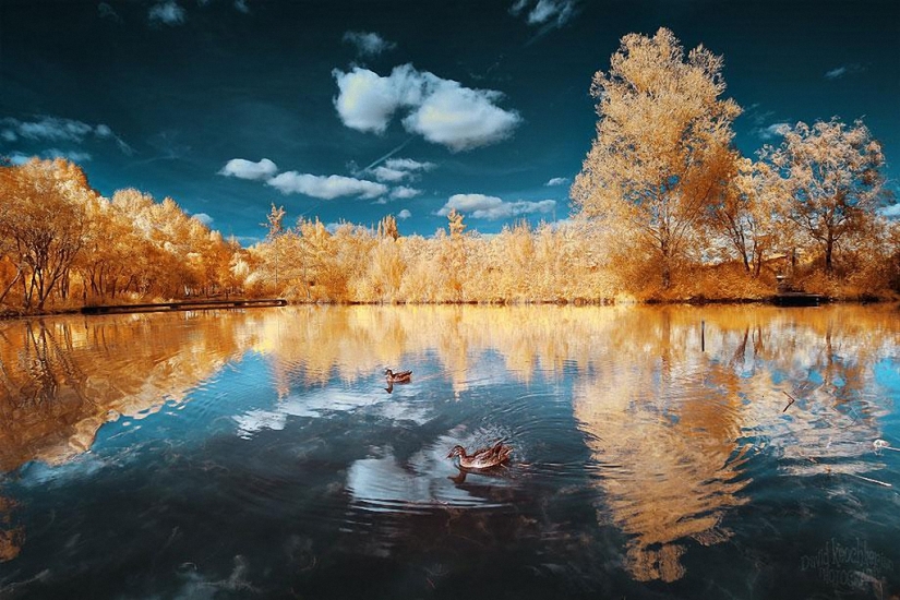 Mundo de hadas en luz infrarroja