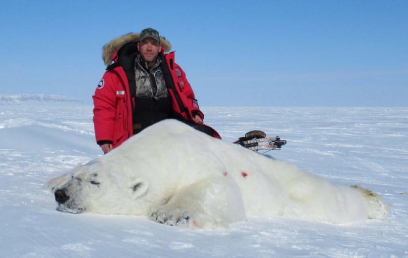 Murió por más de un día: un estadounidense disparó a un león con un arco en la reserva por 2 millones