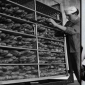 Mystery of the cursed bread: who is to blame, the CIA, Stalin, or ergot?