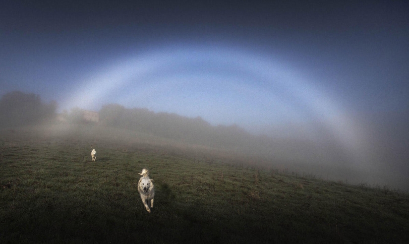 Nadie ha filmado la vida en el pueblo tan brillante