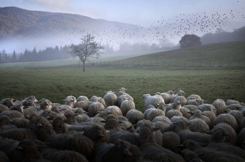 Nadie ha filmado la vida en el pueblo tan brillante
