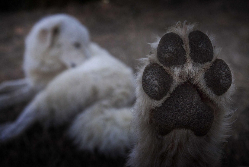 Nadie ha filmado la vida en el pueblo tan brillante