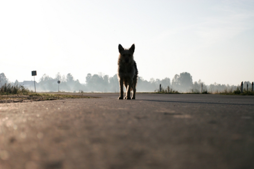 "Near your House": the Russian village in the works of Andrey Kremenchuk