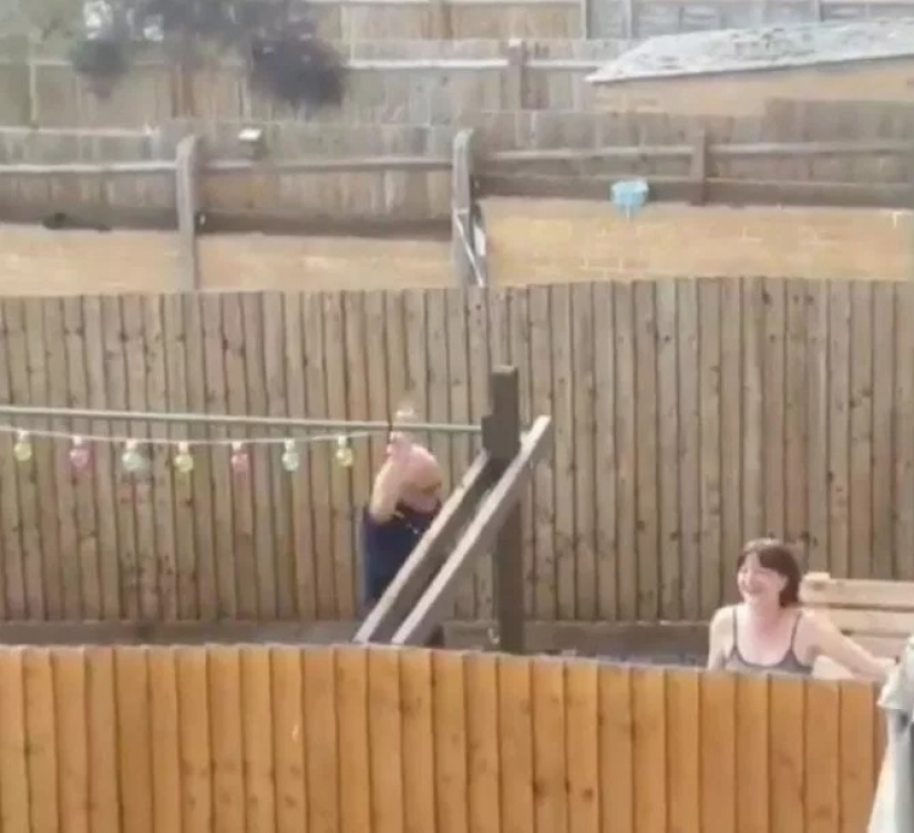 Negro de la venganza: él atraídos en el césped de un vecino de 300 cuervos para Mascotas