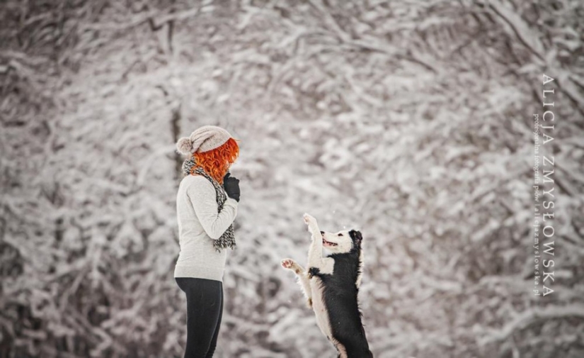 No one has ever done such cool portraits of dogs