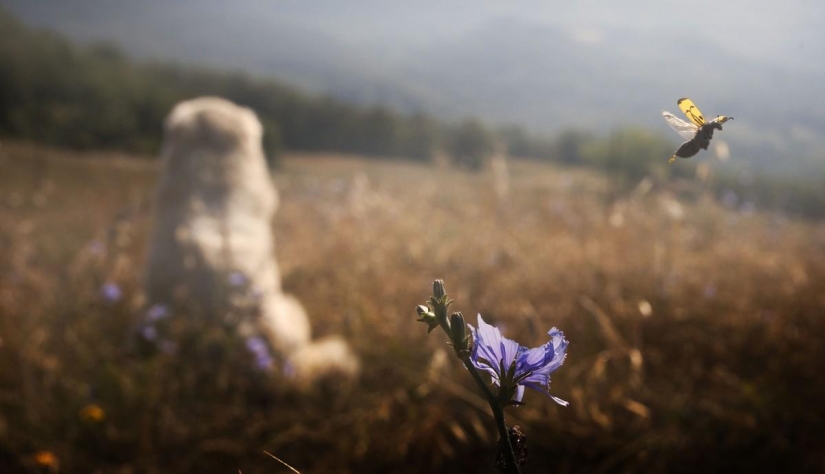 No one has ever filmed life in the village so bright