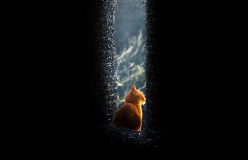 No one has ever filmed life in the village so bright