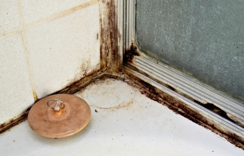 No sólo en el interior: 12 de la más inusual, pero eficaces, para usar vodka No sólo en el interior: 12 de la más inusual, pero eficaces, para usar vodka