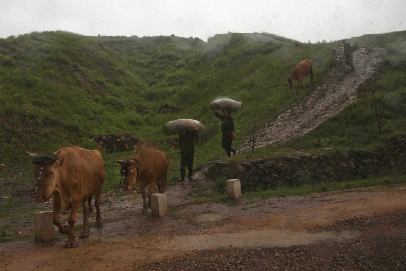 North Korea without embellishment in the Western lens of the photographer North Korea without embellishment in the Western lens of the photographer