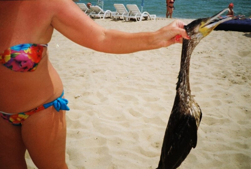 Nostalgia del mar: Una selección para aquellos que no han ido a ninguna parte Nostalgia del mar: Una selección para aquellos que no han ido a ninguna parte