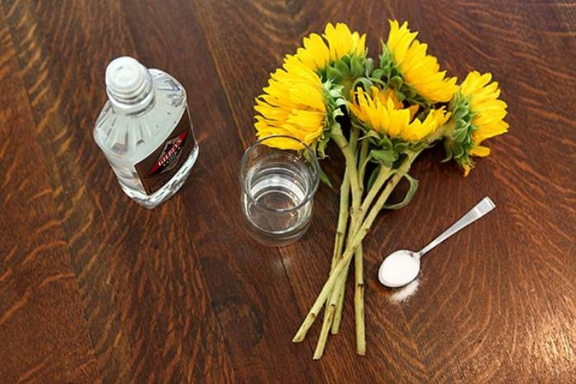 Not only inside: 12 of the most unusual but effective ways to use vodka