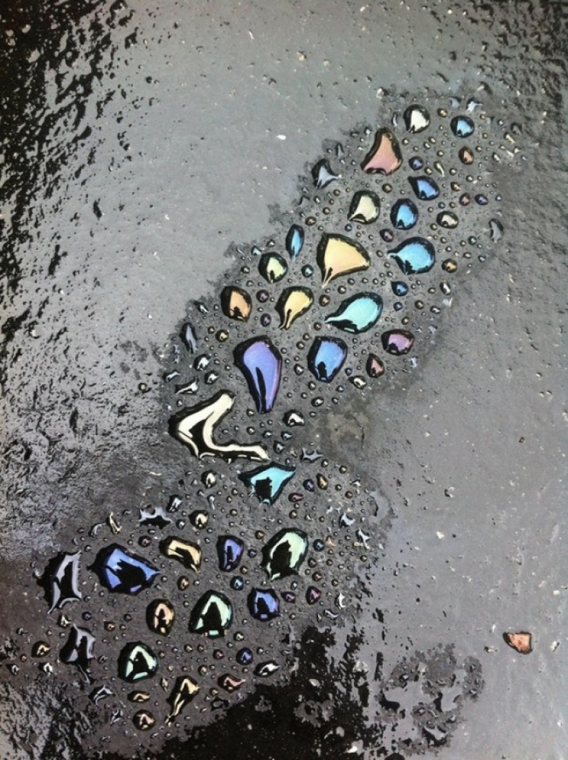 "Now I've seen everything": 25 photos, after viewing which you can safely say so