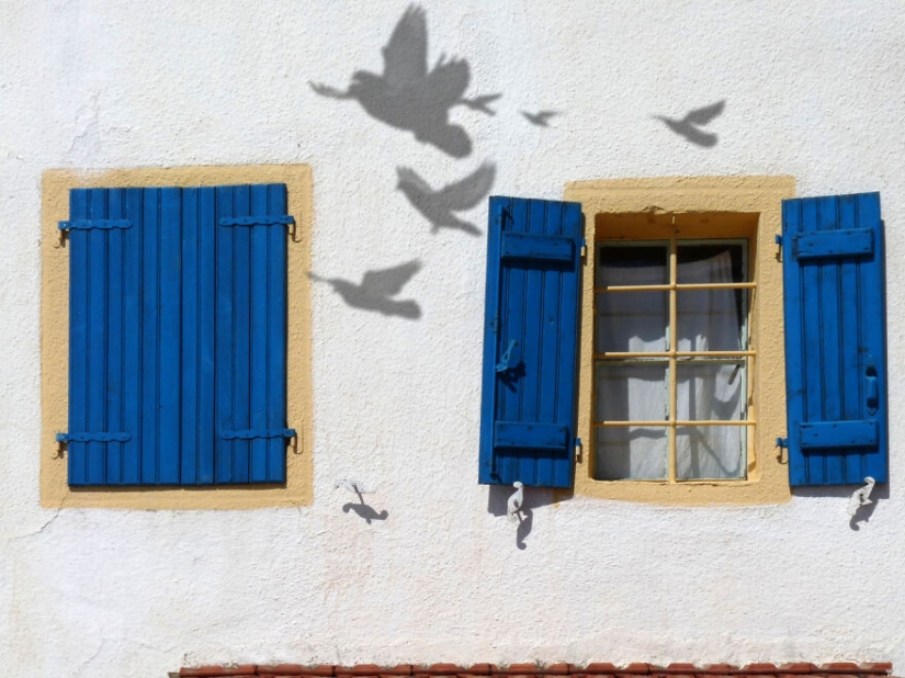 "Nuestro mundo es hermoso": mejores fotos del CEWE Photo Award 2021 "Nuestro mundo es hermoso": mejores fotos del CEWE Photo Award 2021