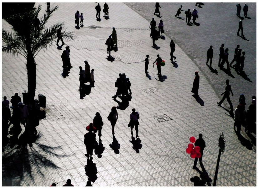 Obras maestras de la arquitectura natural-nidos de pájaros Obras maestras de la arquitectura natural-nidos de pájaros