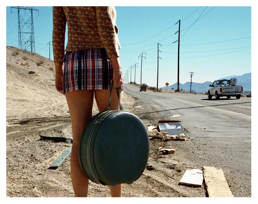 Obras maestras de la arquitectura natural-nidos de pájaros Obras maestras de la arquitectura natural-nidos de pájaros